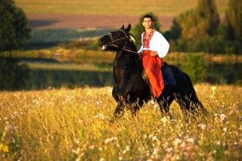 Життєва мандрівка